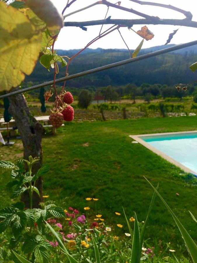 Quinta Da Aranha Villa Arcos de Valdevez Ngoại thất bức ảnh