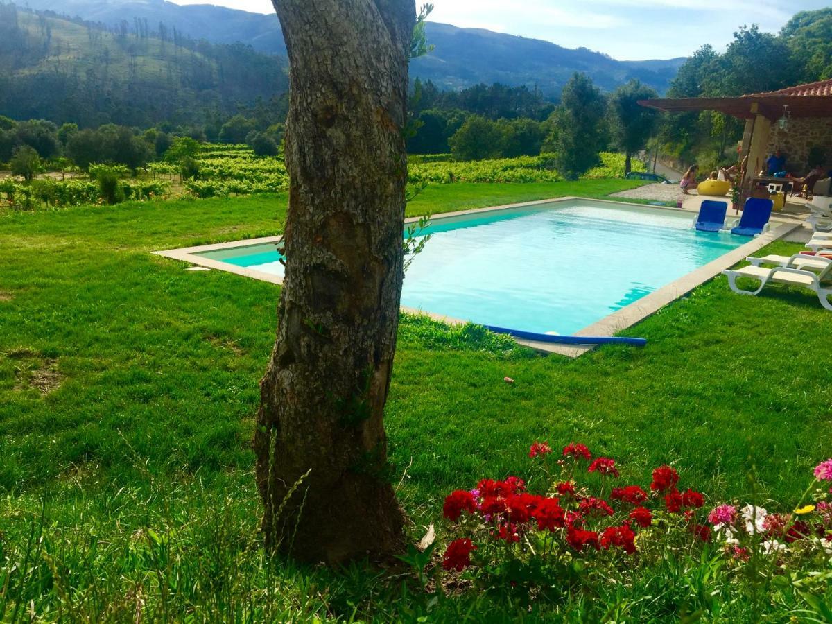 Quinta Da Aranha Villa Arcos de Valdevez Ngoại thất bức ảnh